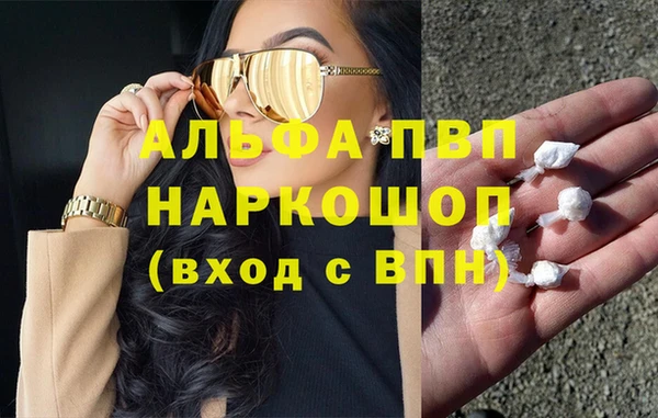 индика Алексин