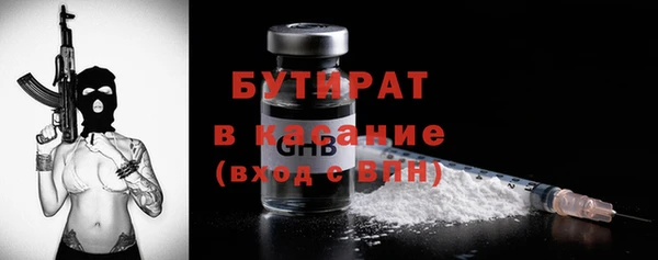 индика Алексин