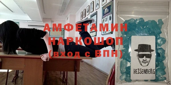 индика Алексин
