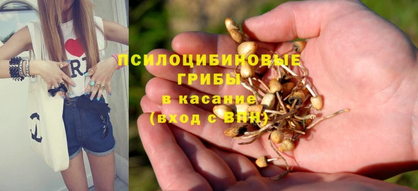 индика Алексин