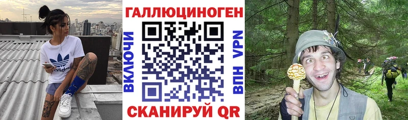 ссылка на мегу зеркало Спас-Деменск Псилоцибиновые грибы MAGIC MUSHROOMS